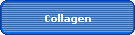 Collagen