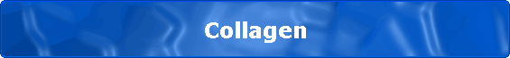 Collagen